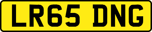 LR65DNG