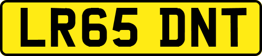 LR65DNT