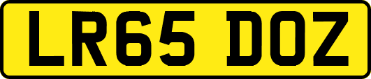 LR65DOZ
