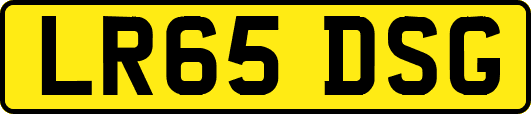 LR65DSG