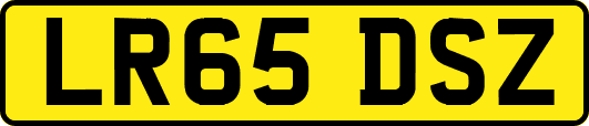 LR65DSZ
