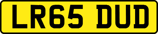 LR65DUD