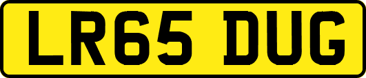 LR65DUG