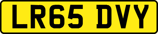LR65DVY
