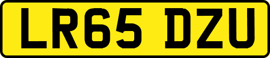 LR65DZU