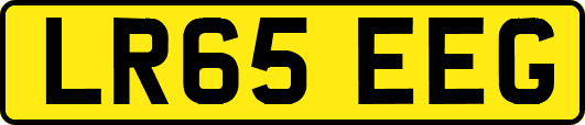 LR65EEG