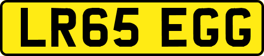 LR65EGG