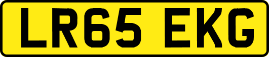 LR65EKG