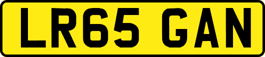 LR65GAN