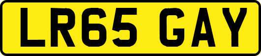 LR65GAY