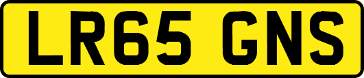 LR65GNS
