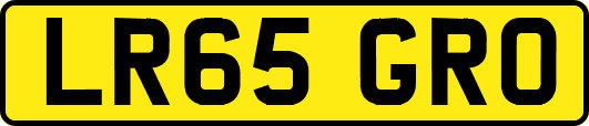 LR65GRO
