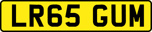 LR65GUM