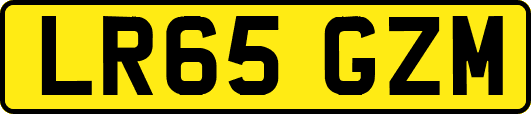 LR65GZM