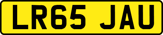 LR65JAU