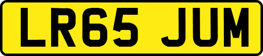 LR65JUM