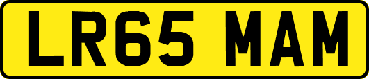 LR65MAM