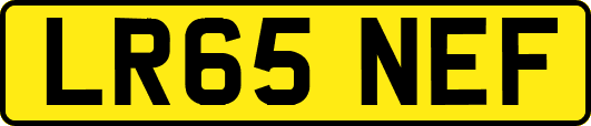 LR65NEF