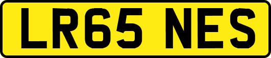 LR65NES