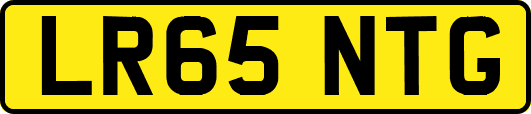 LR65NTG
