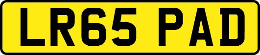 LR65PAD