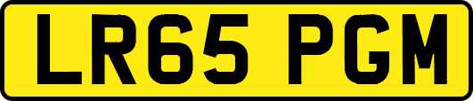 LR65PGM