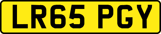 LR65PGY