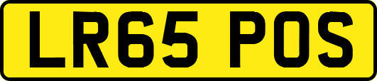 LR65POS