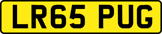 LR65PUG