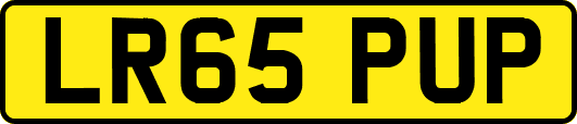 LR65PUP