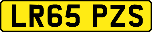 LR65PZS