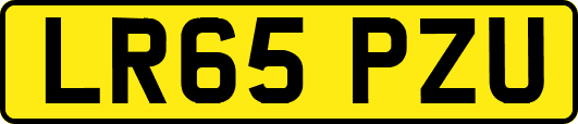 LR65PZU