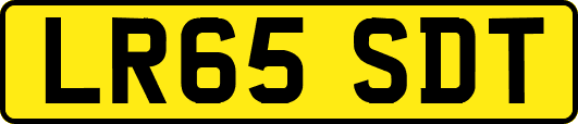 LR65SDT