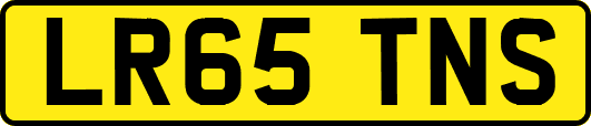 LR65TNS