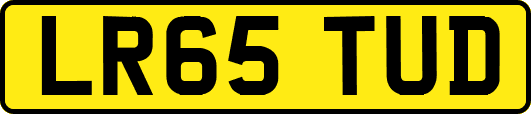 LR65TUD
