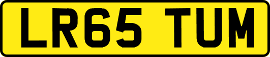 LR65TUM