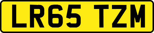 LR65TZM