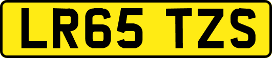 LR65TZS