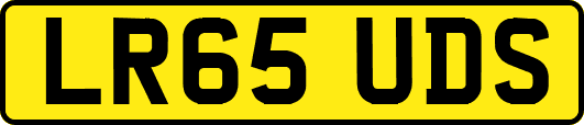 LR65UDS
