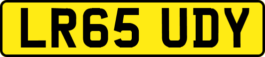 LR65UDY