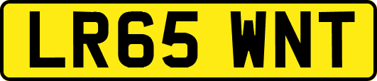 LR65WNT