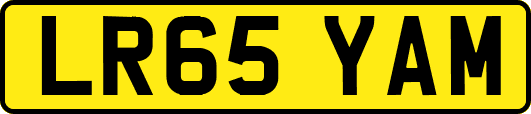 LR65YAM