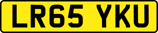 LR65YKU