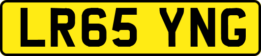 LR65YNG