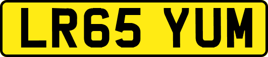 LR65YUM