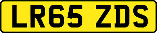 LR65ZDS