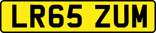 LR65ZUM