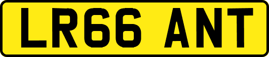 LR66ANT