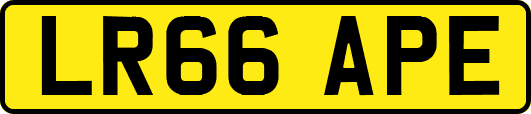 LR66APE