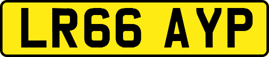 LR66AYP